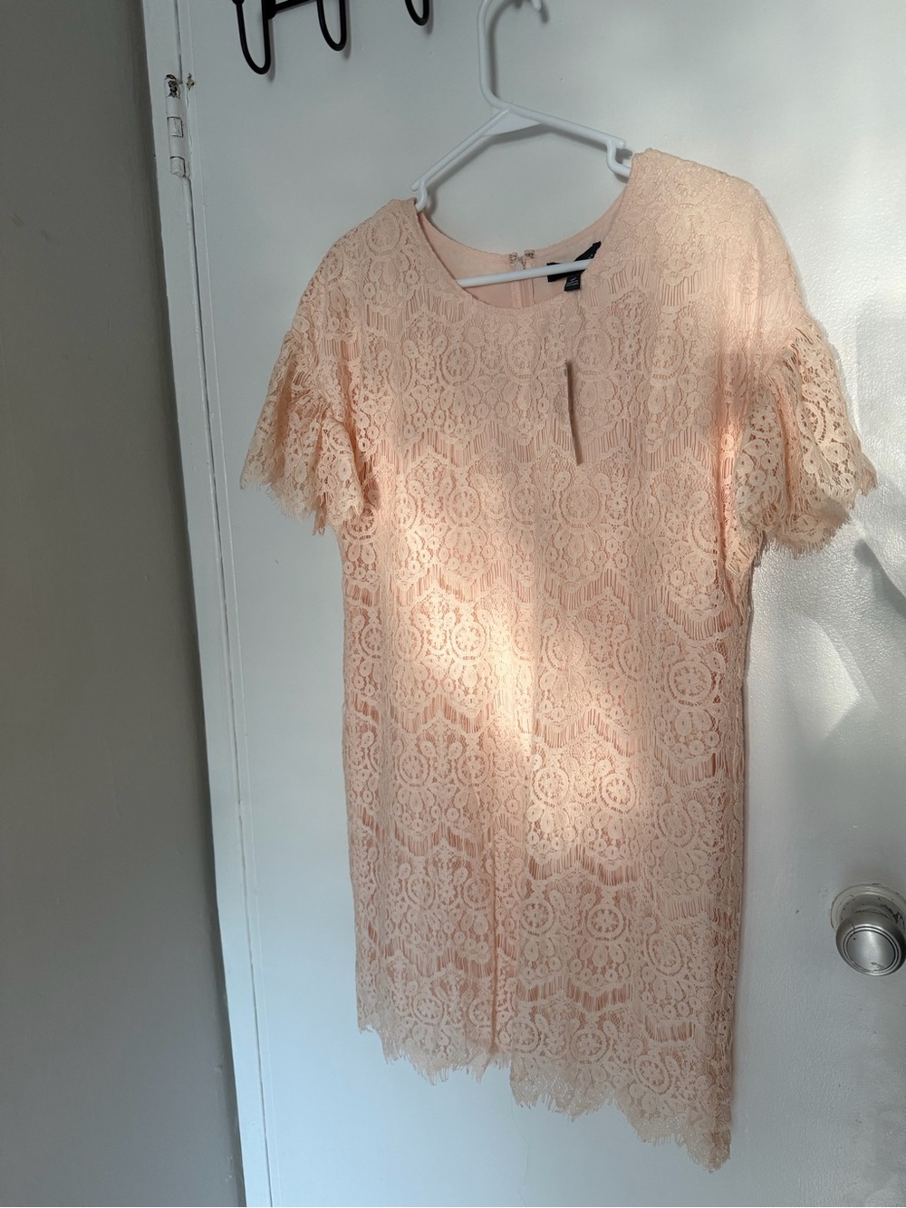 The Limited Blush Lace Midi Dress